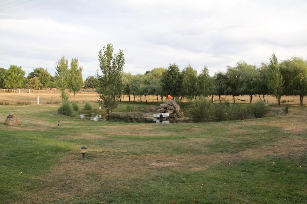 O Pelicano Bed & Breakfast Alfaiates Exterior foto